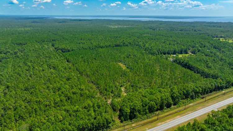 Image for 77 Acre Development Tract - Avalon Blvd. Milton FL - $495,000