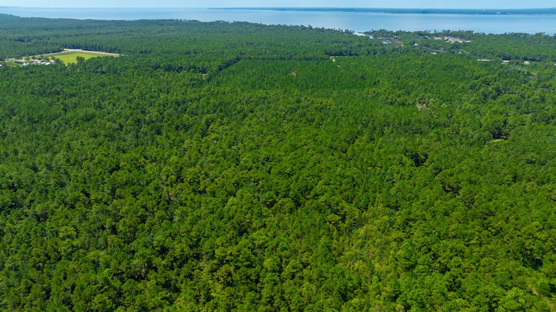 Image for 77 Acre Development Tract - Avalon Blvd. Milton FL - $495,000