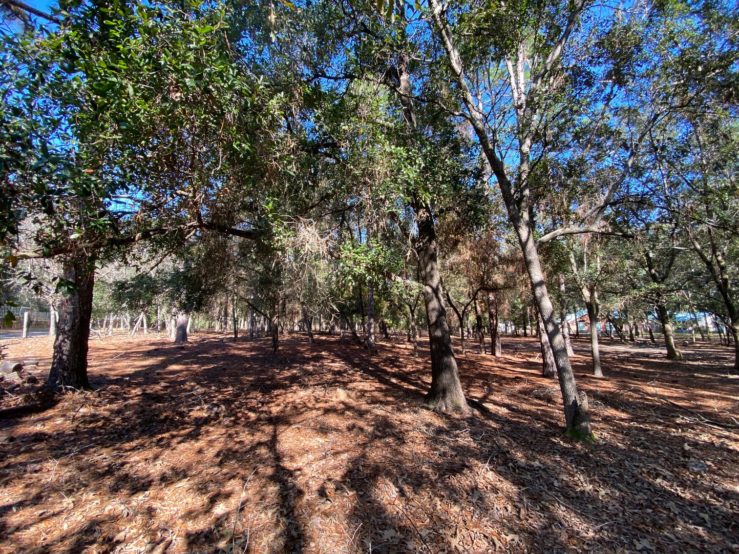 Image for Spectacular Country Estate on 7.66 Acres