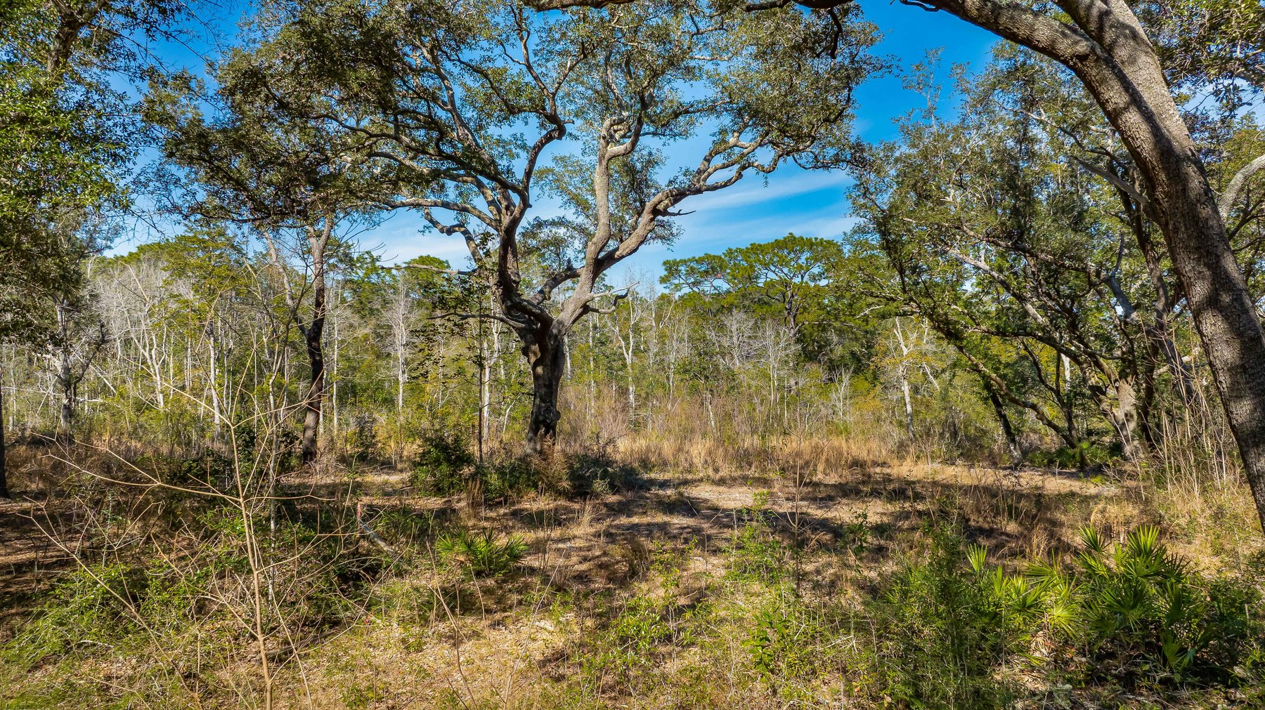 Image for Terra Sombra Residential Parcels