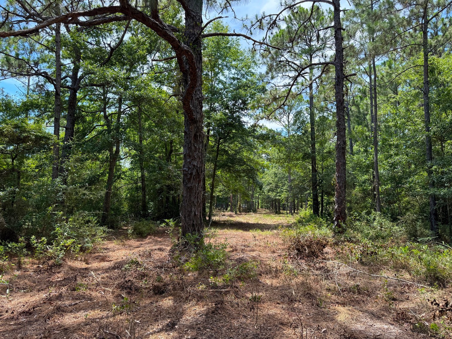 Image for 700 Haddock Rd. - Avalon Blvd.