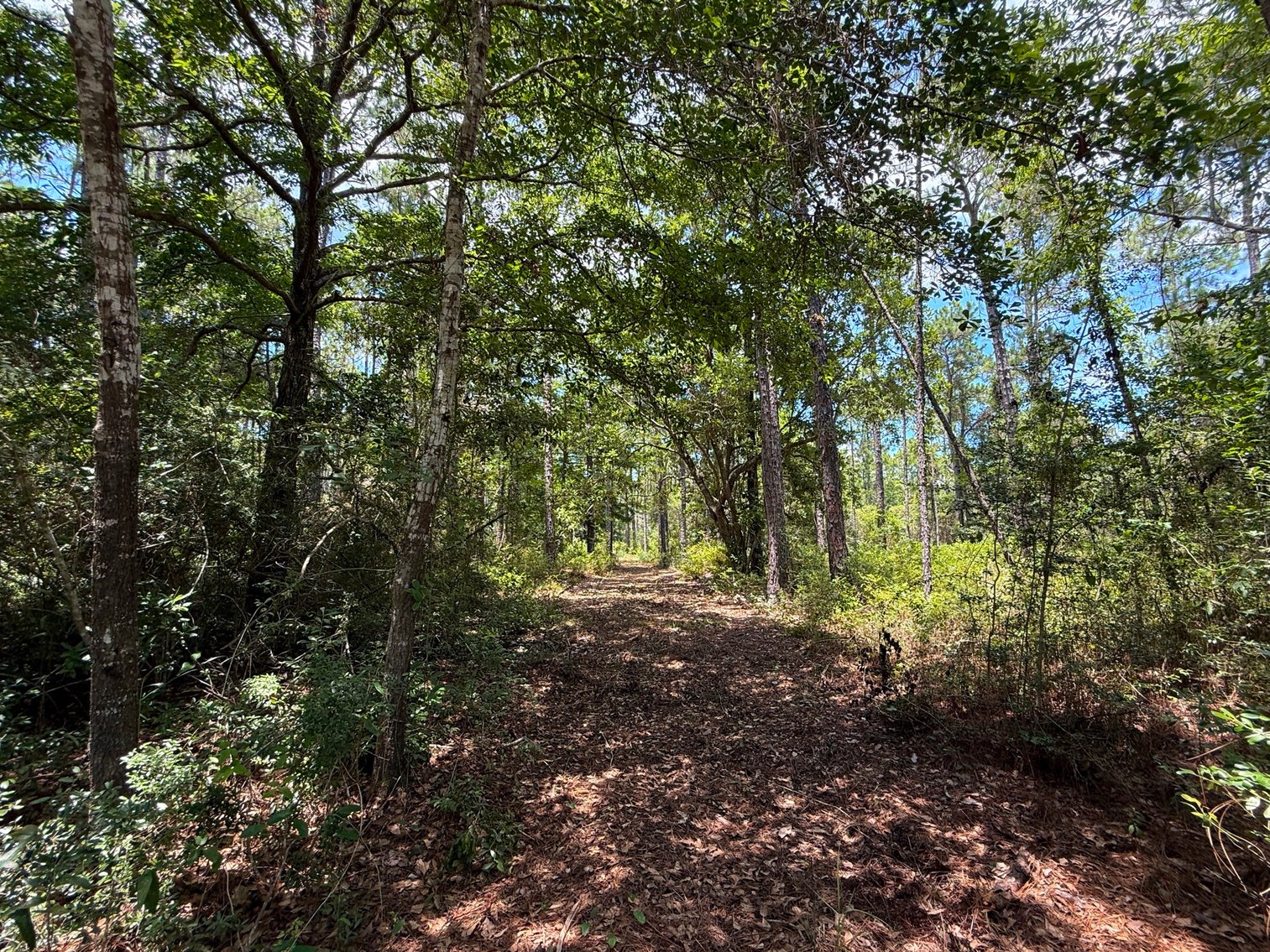 Image for 700 Haddock Rd. - Avalon Blvd.