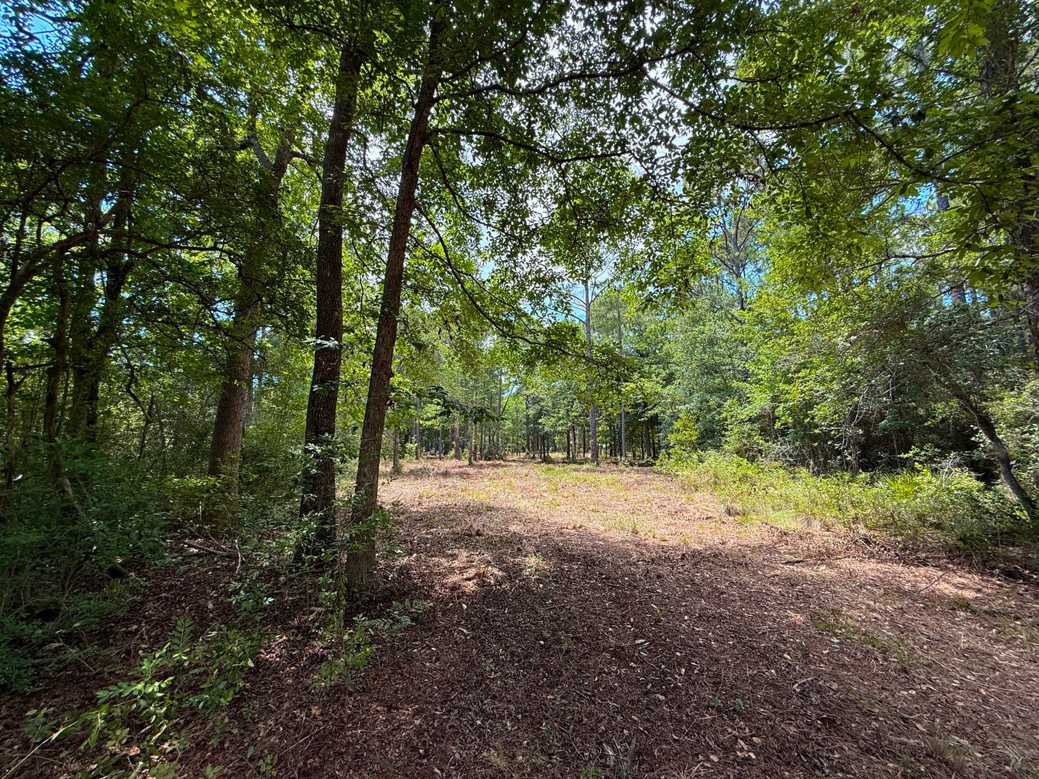 Image for 700 Haddock Rd. - Avalon Blvd.