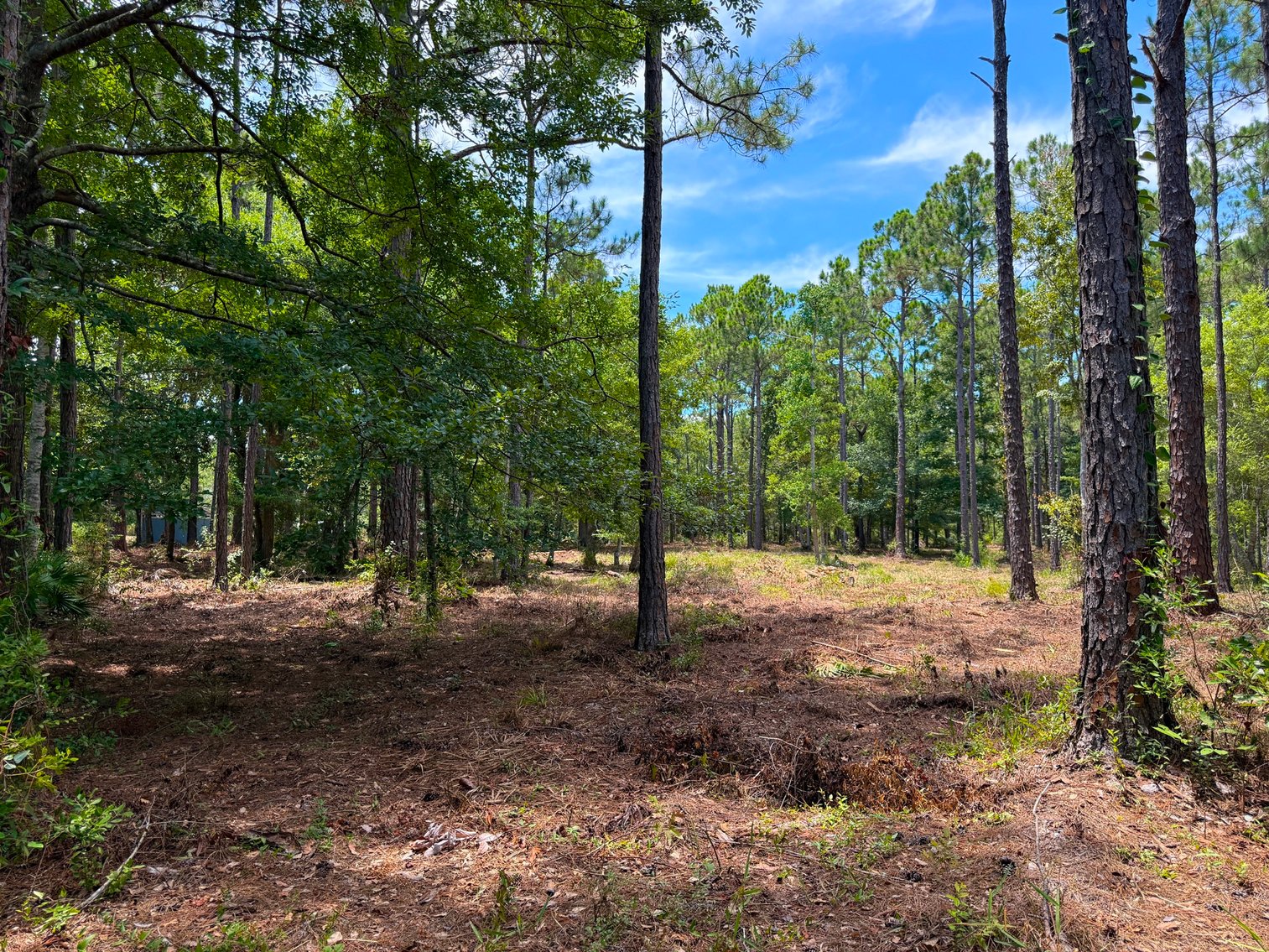 Image for 700 Haddock Rd. - Avalon Blvd.