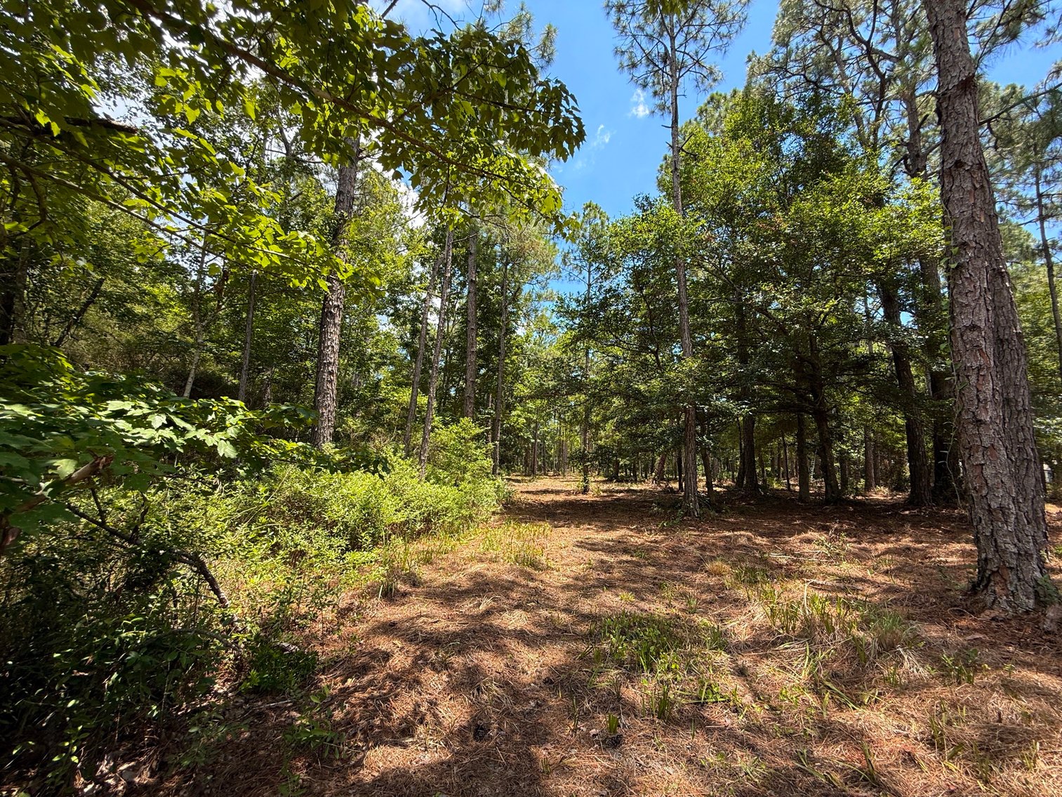 Image for 700 Haddock Rd. - Avalon Blvd.