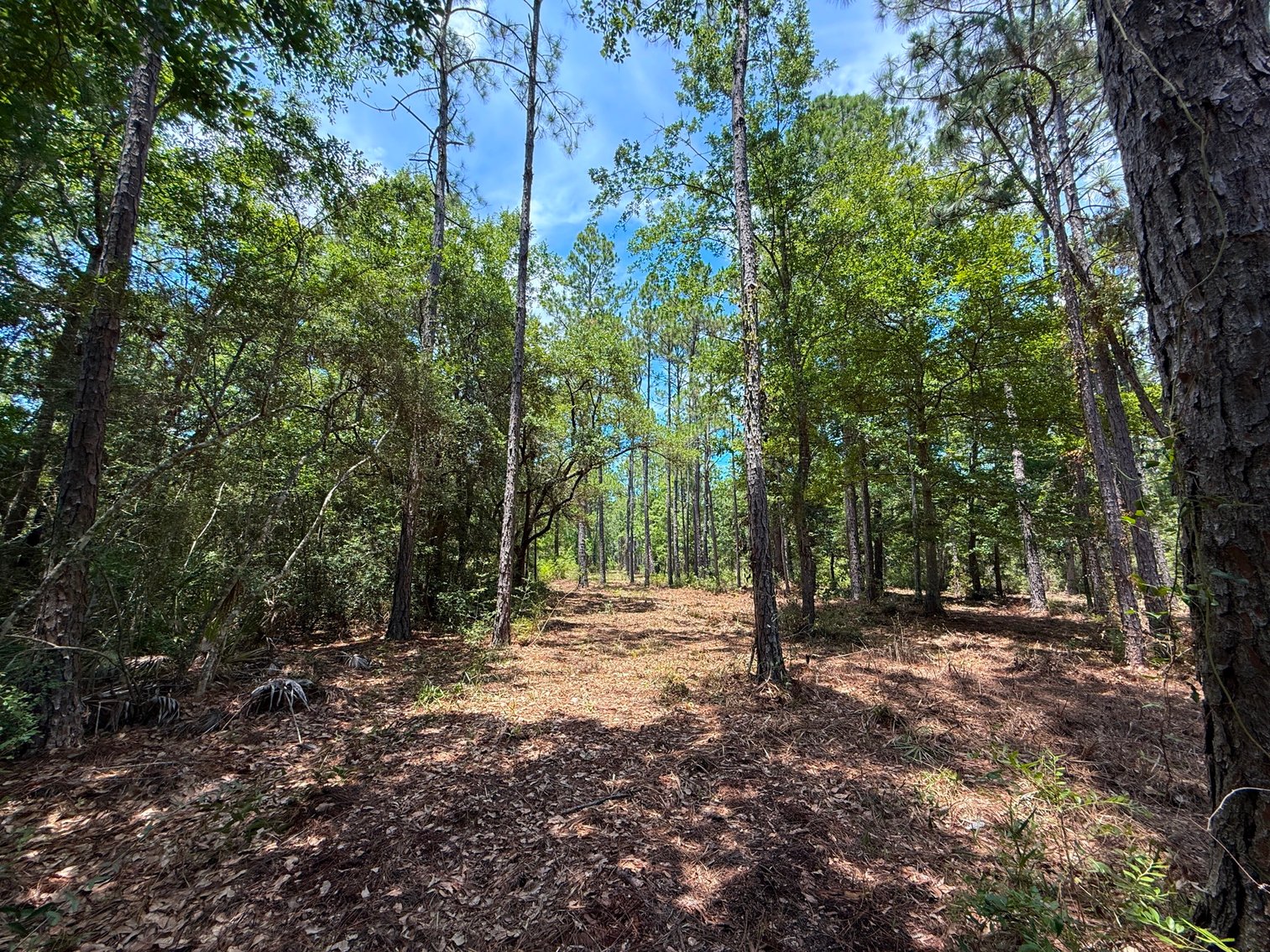 Image for 700 Haddock Rd. - Avalon Blvd.