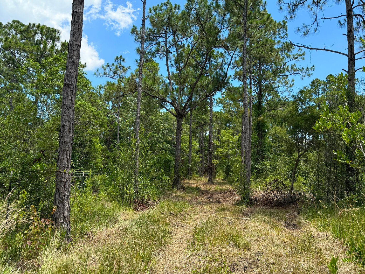 Image for 700 Haddock Rd. - Avalon Blvd.