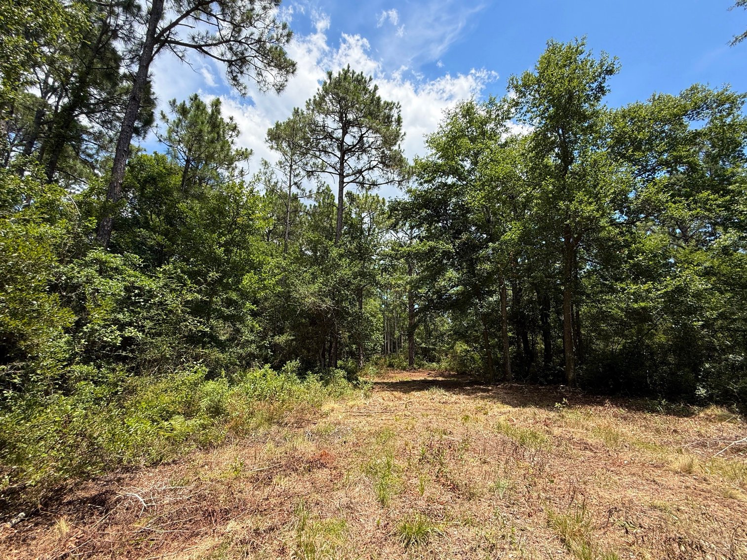 Image for 700 Haddock Rd. - Avalon Blvd.