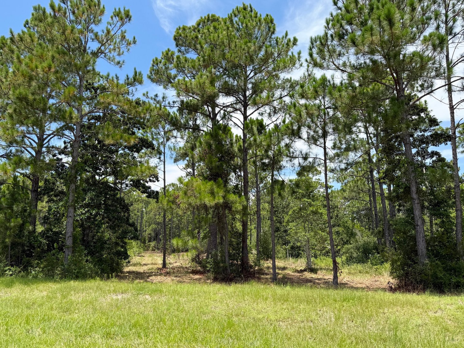 Image for 700 Haddock Rd. - Avalon Blvd.