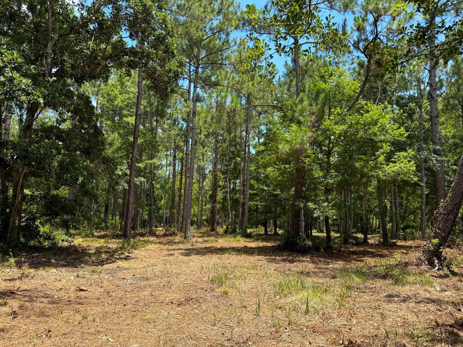 Image for 700 Haddock Rd. - Avalon Blvd.