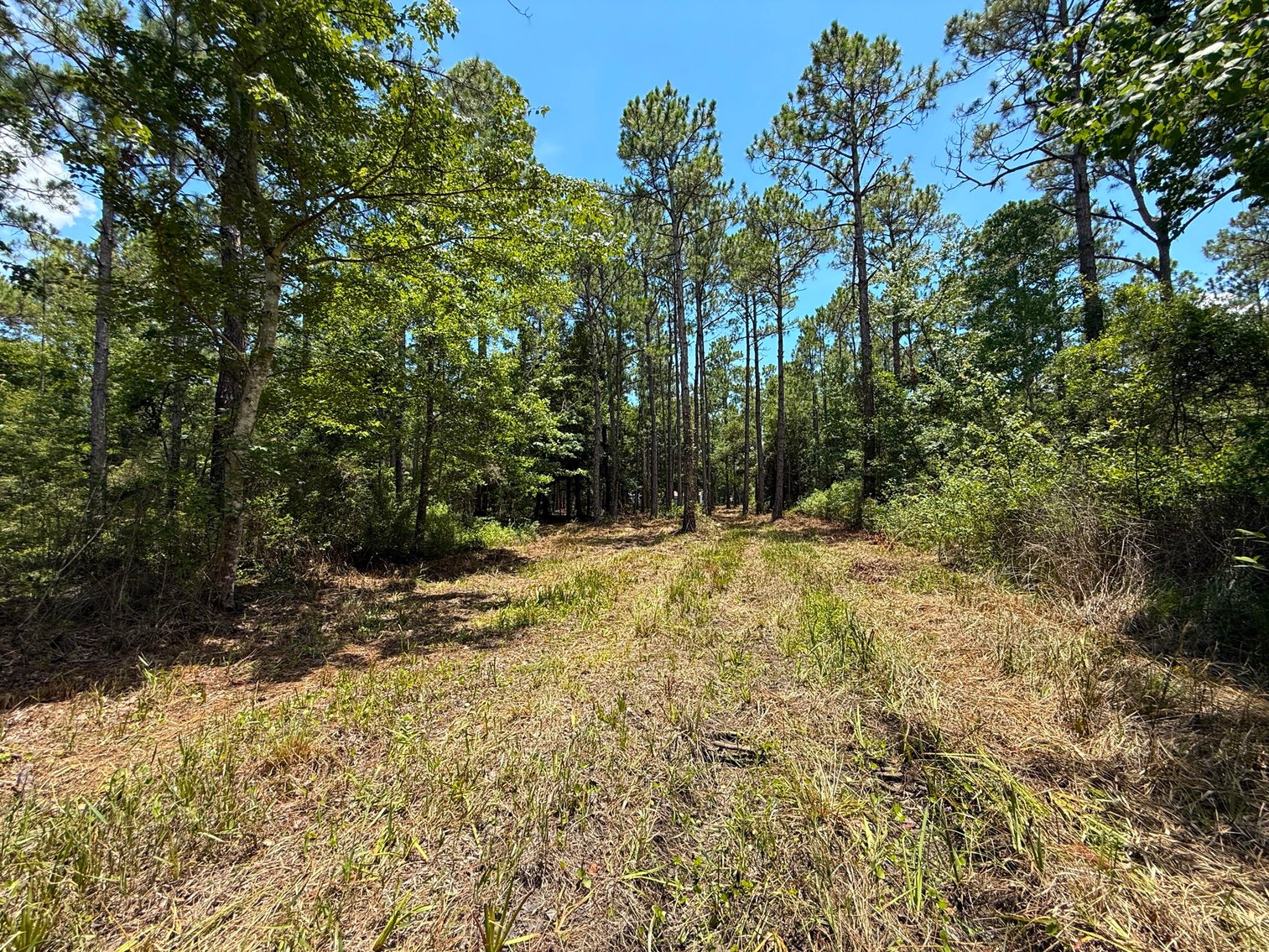 Image for 700 Haddock Rd. - Avalon Blvd.