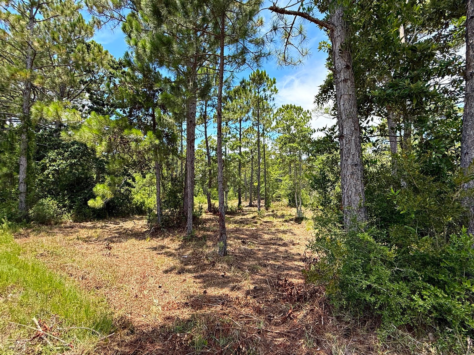 Image for 700 Haddock Rd. - Avalon Blvd.