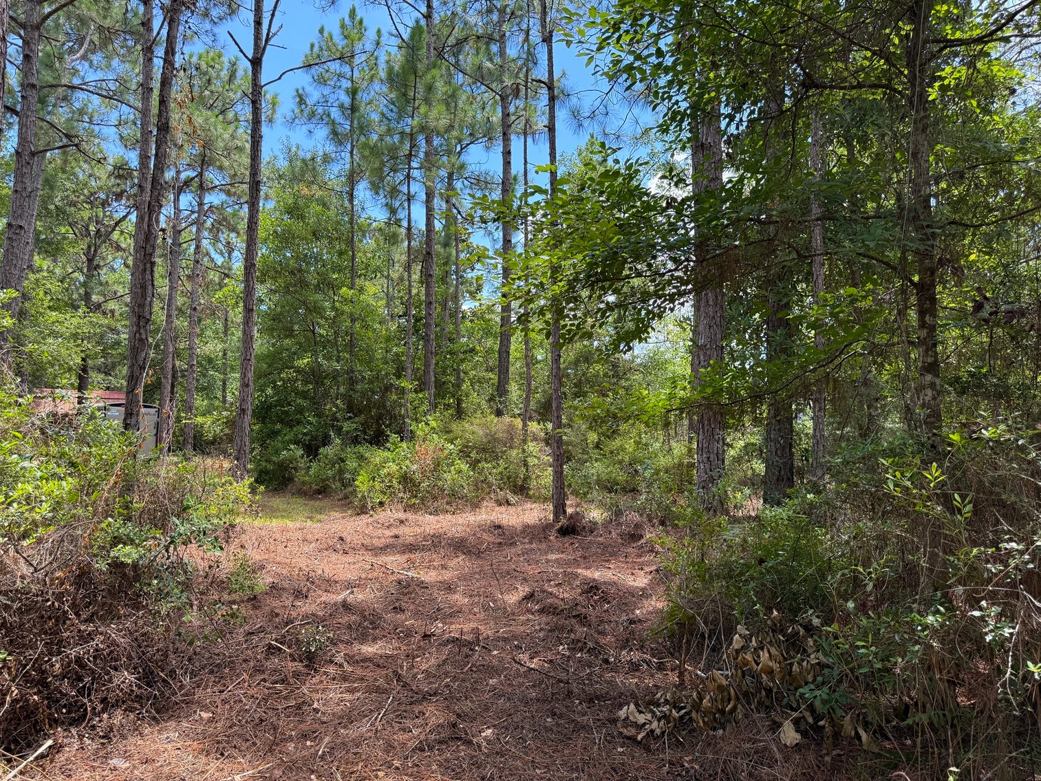 Image for 700 Haddock Rd. - Avalon Blvd.