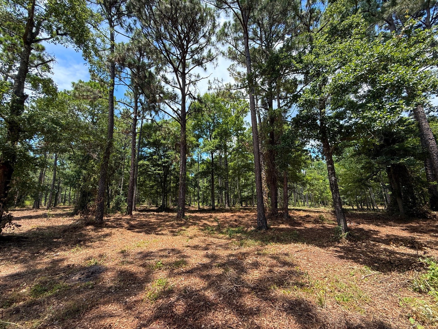 Image for 700 Haddock Rd. - Avalon Blvd.