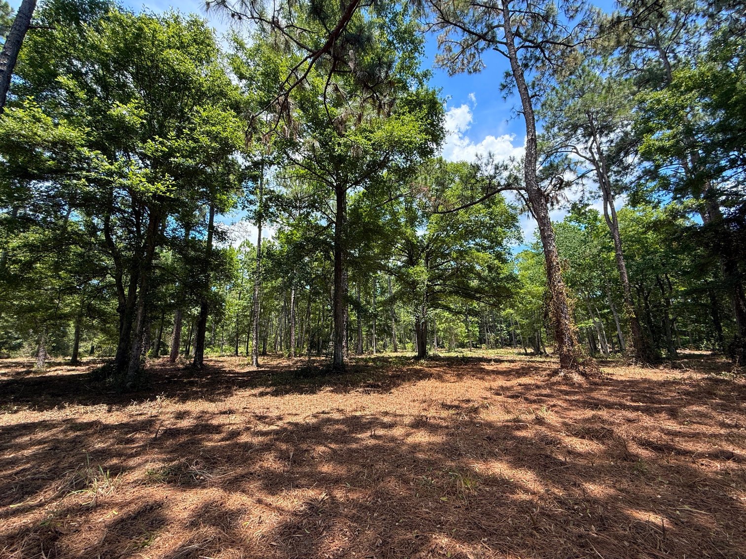 Image for 700 Haddock Rd. - Avalon Blvd.