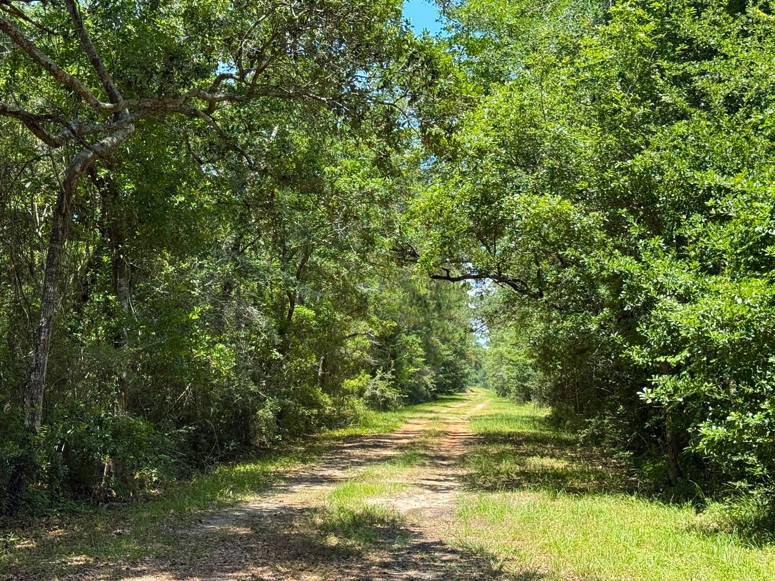 Image for 700 Haddock Rd. - Avalon Blvd.