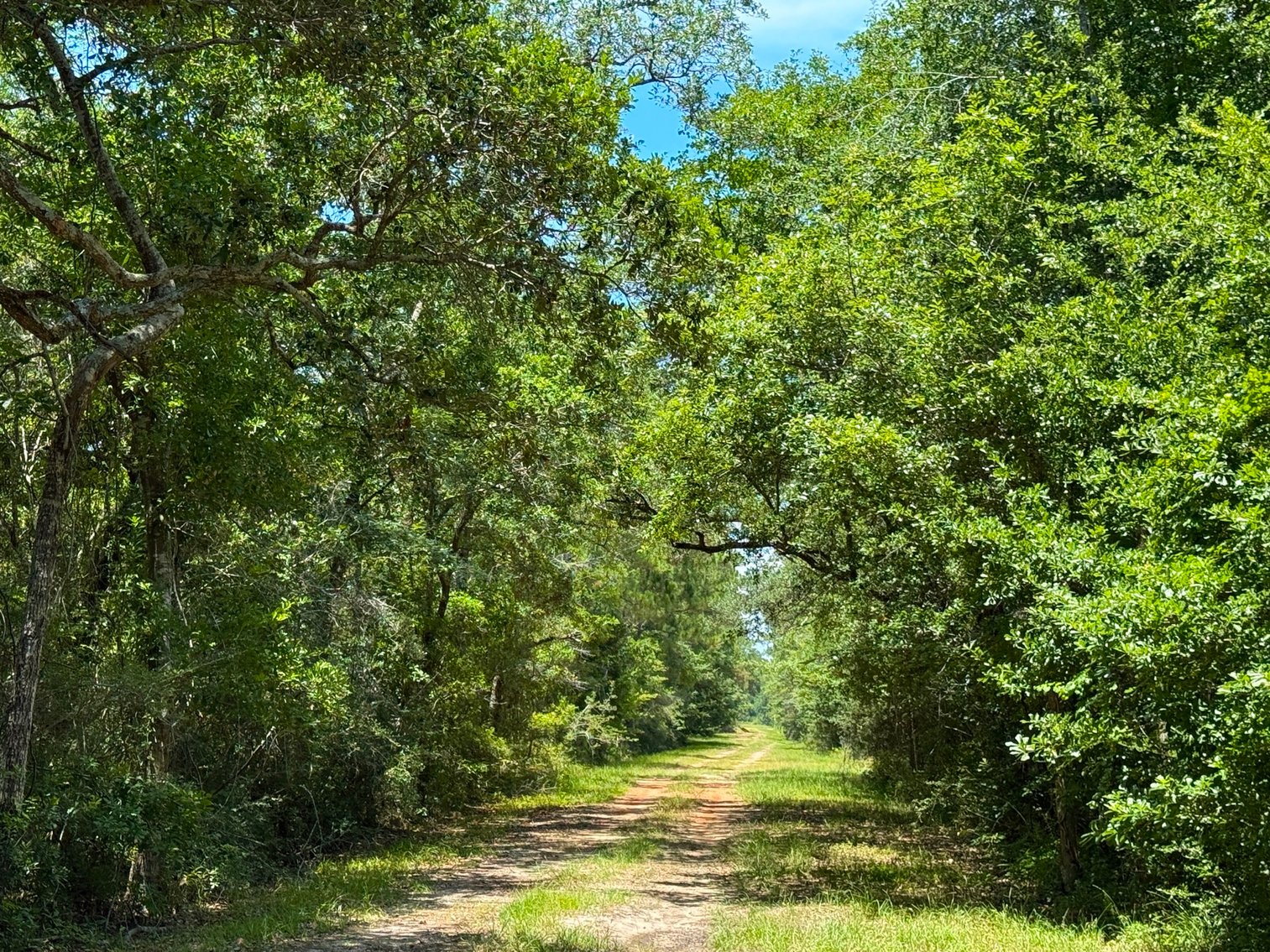 Image for 700 Haddock Rd. - Avalon Blvd.