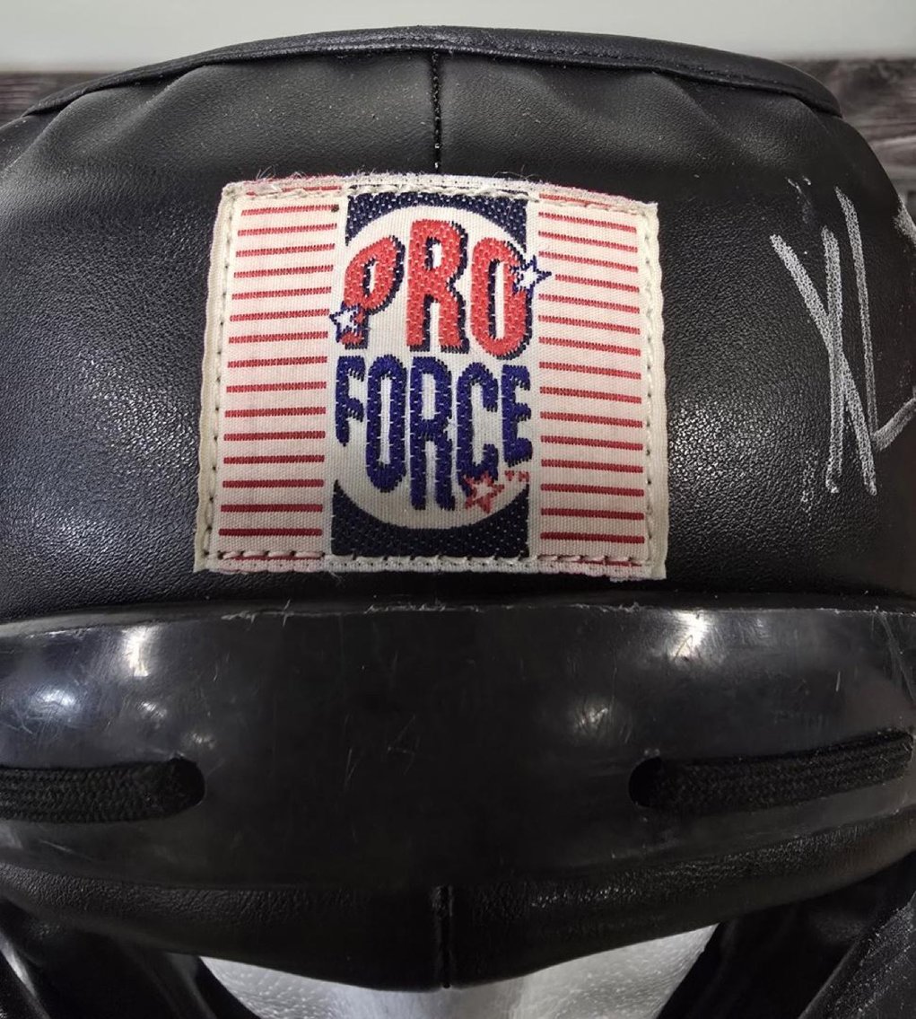 Image for Bulk Lot – ProForce Boxing & MMA Chest Guards & Headgear (700–900 Units Total)