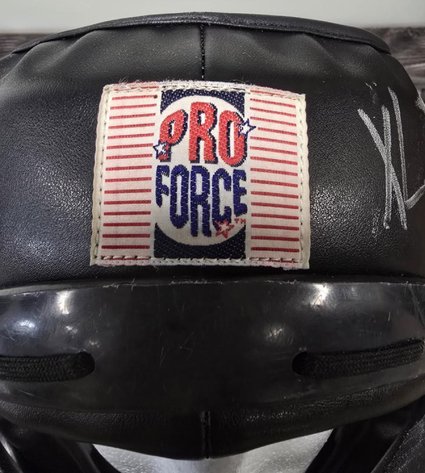 Image for Bulk Lot – ProForce Boxing & MMA Chest Guards & Headgear (700–900 Units Total)