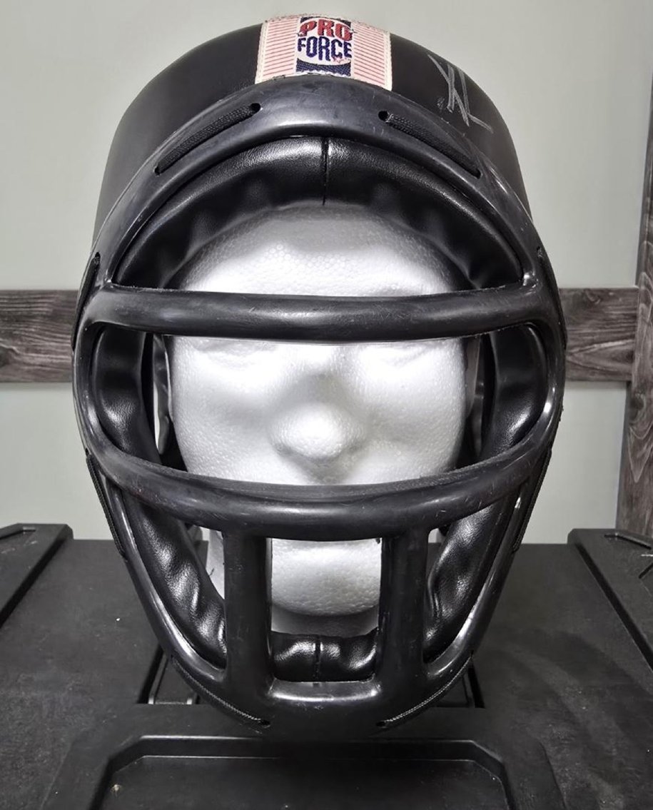 Image for Bulk Lot – ProForce Boxing & MMA Chest Guards & Headgear (700–900 Units Total)