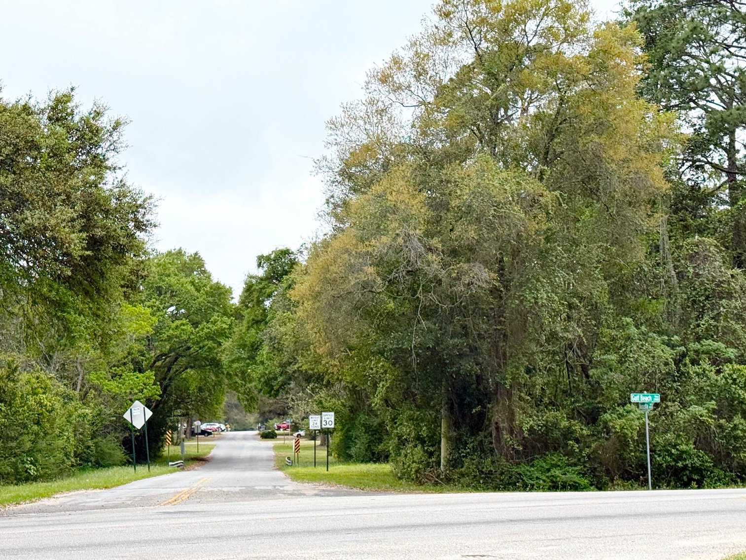 Image for Absolute Auction | HC/LI Zoned Lots | Gulf Beach Hwy Corridor