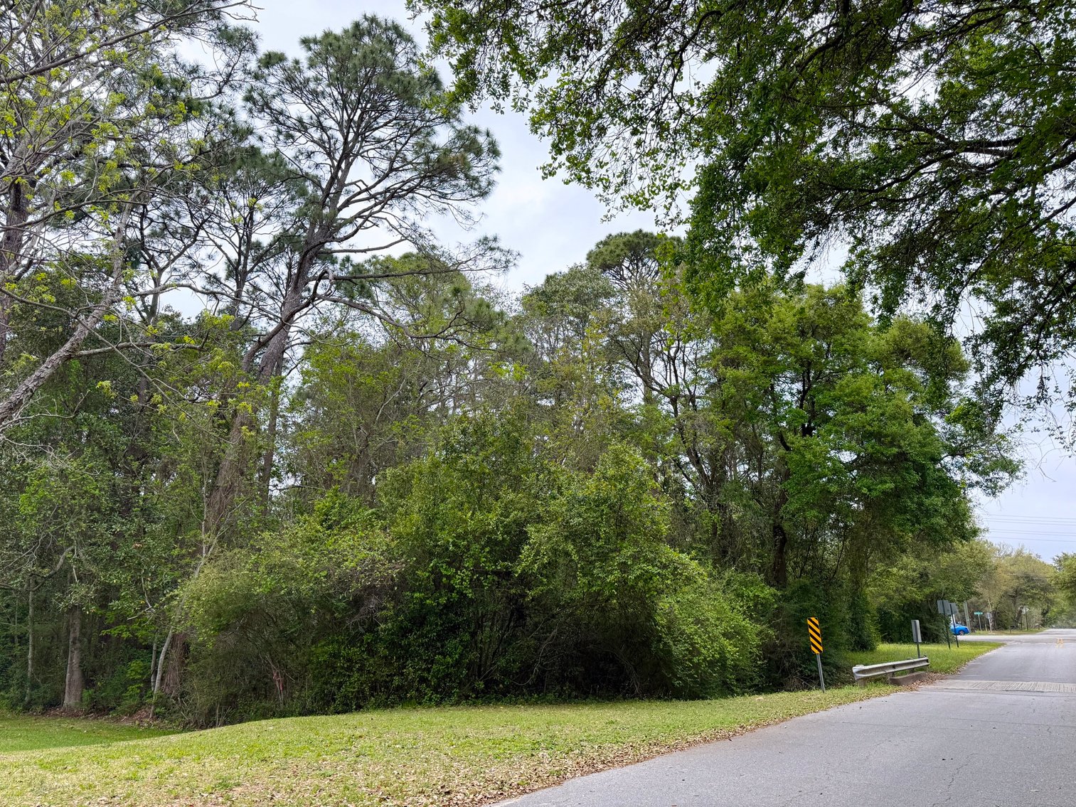 Image for Absolute Auction | HC/LI Zoned Lots | Gulf Beach Hwy Corridor