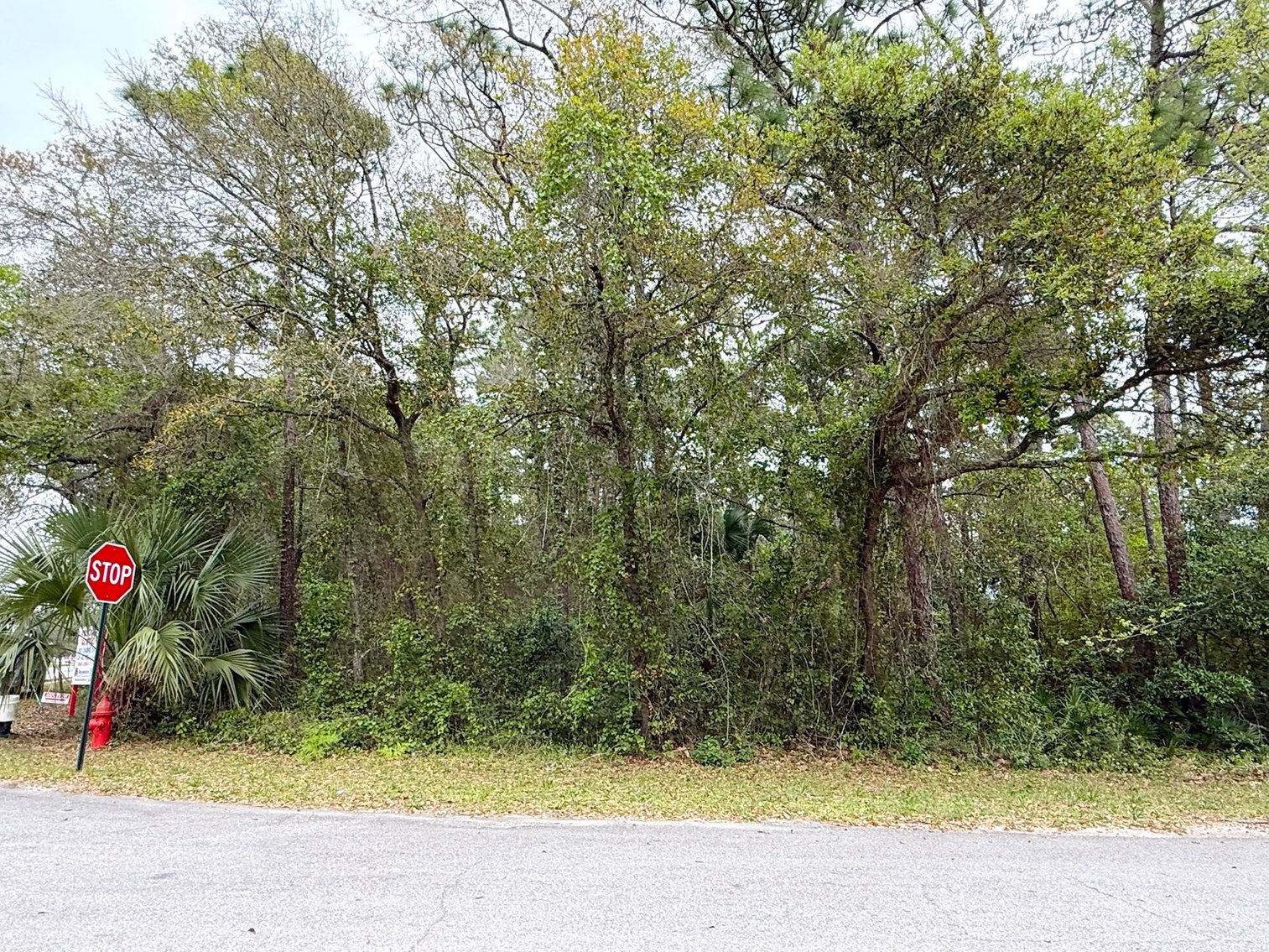 Image for Absolute Auction | HC/LI Zoned Lots | Gulf Beach Hwy Corridor