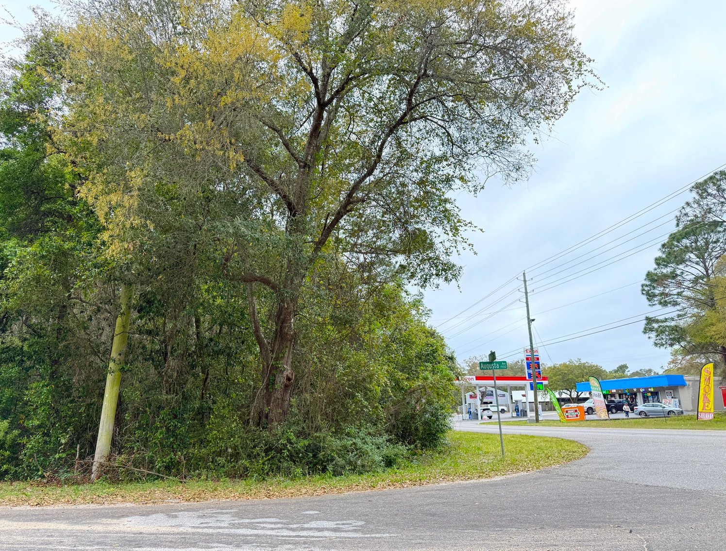 Image for Absolute Auction | HC/LI Zoned Lots | Gulf Beach Hwy Corridor