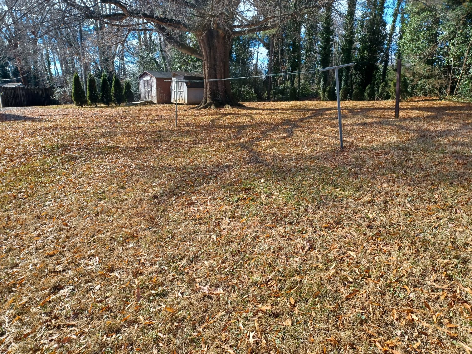 Image for 720 Buena Vista Road