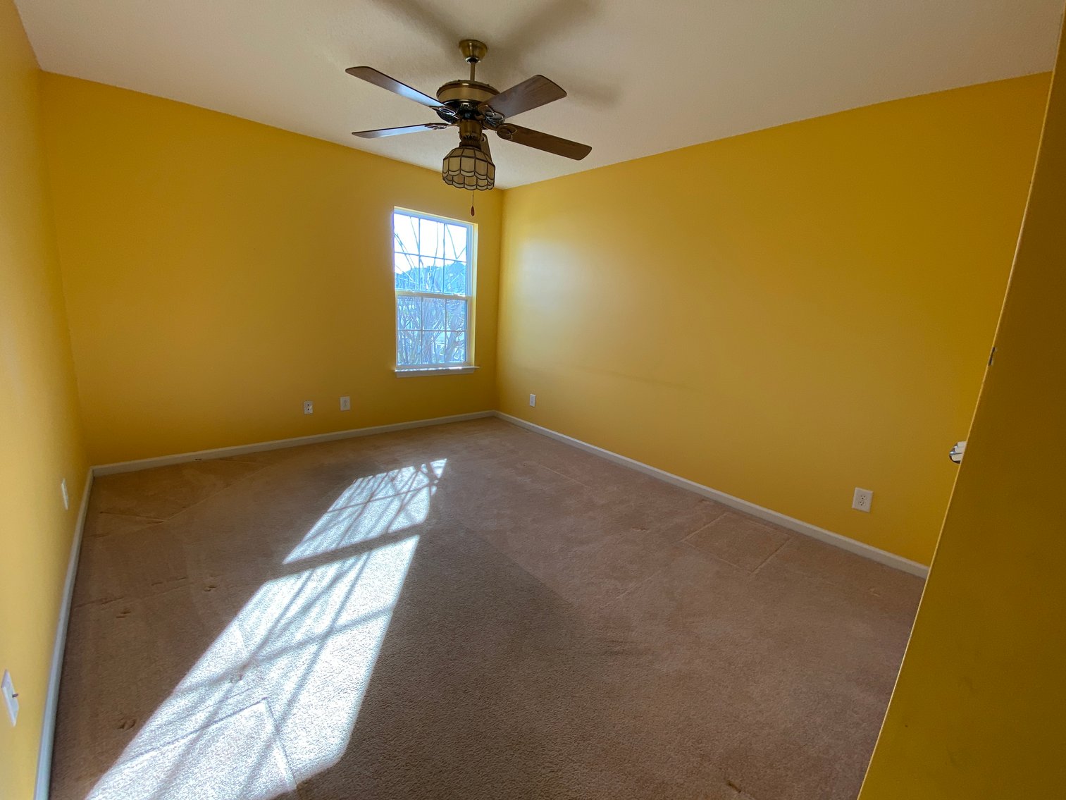 Image for 7305 Daffodil Lane