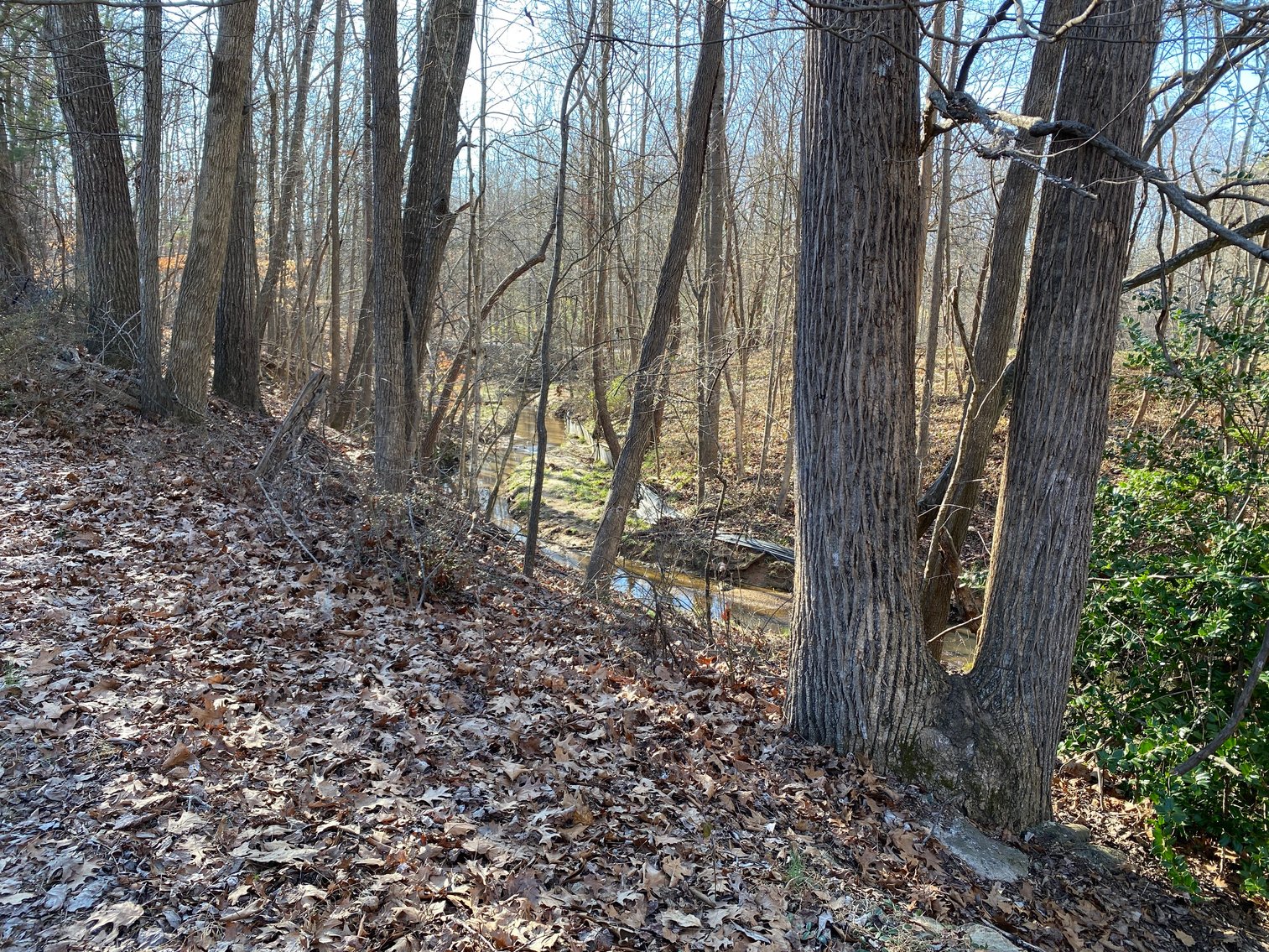 Image for 2321 Joy Drive