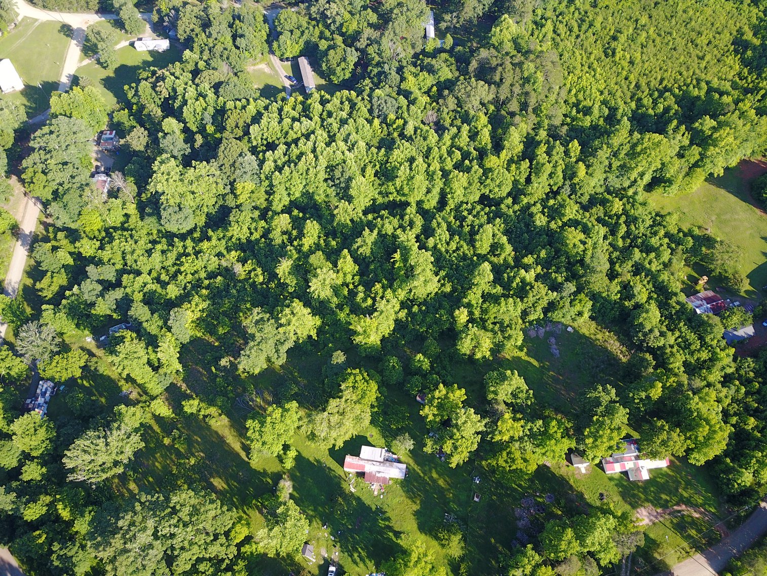 Image for Hidden River Trail Land Auction