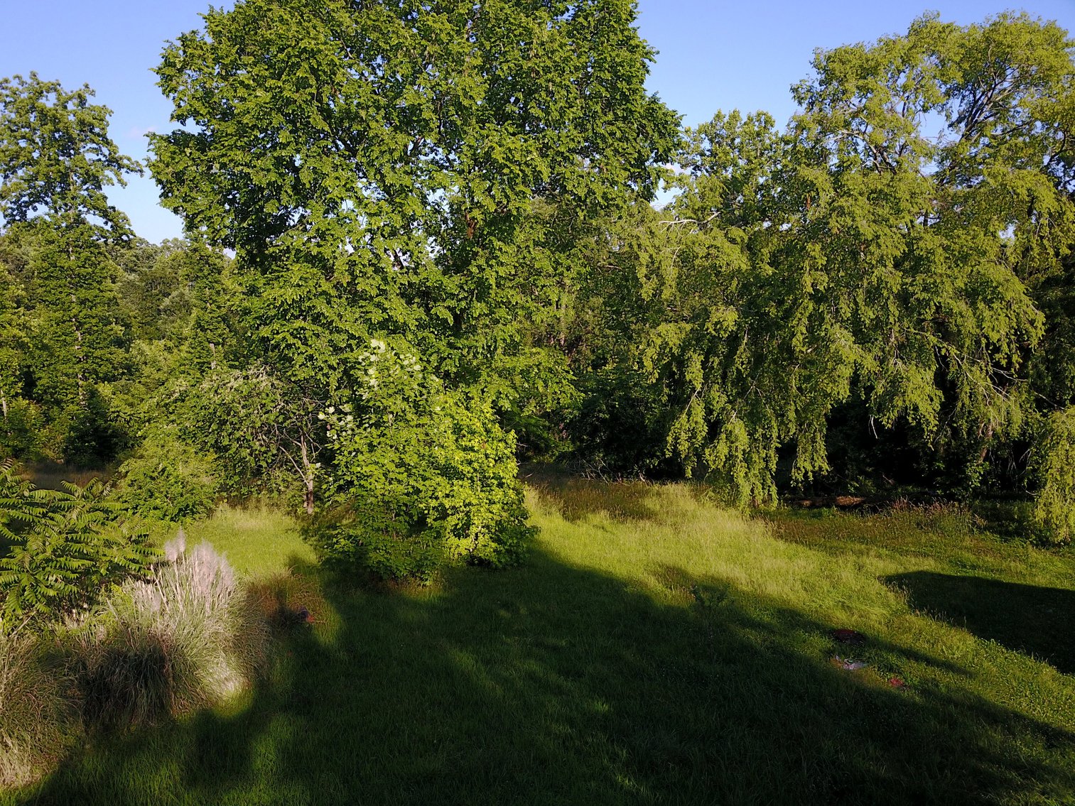 Image for Hidden River Trail Land Auction