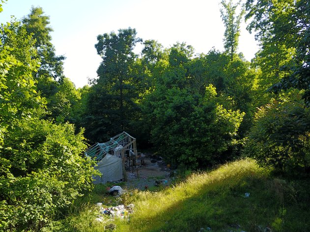 Image for Hidden River Trail Land Auction