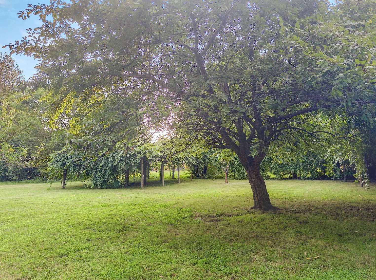 Image for 2265 Lee Drive, Burlington