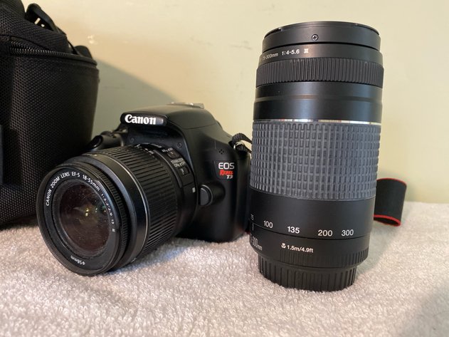 Image for Lois Snider Estate (living)