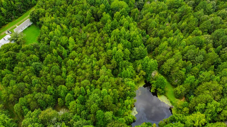 Image for 3067 N NC 119 Mebane