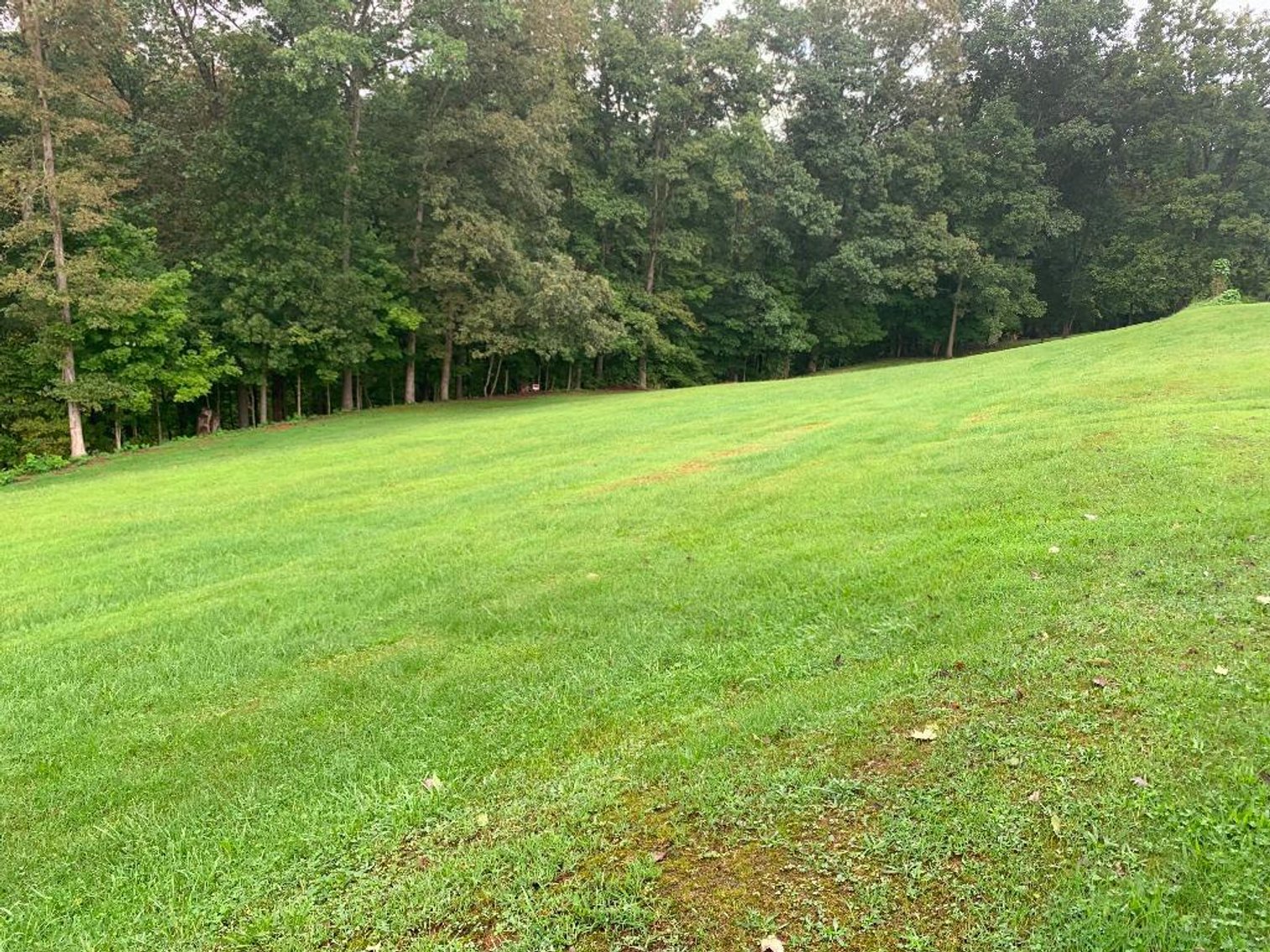 Image for Taylor Real Estate Auction