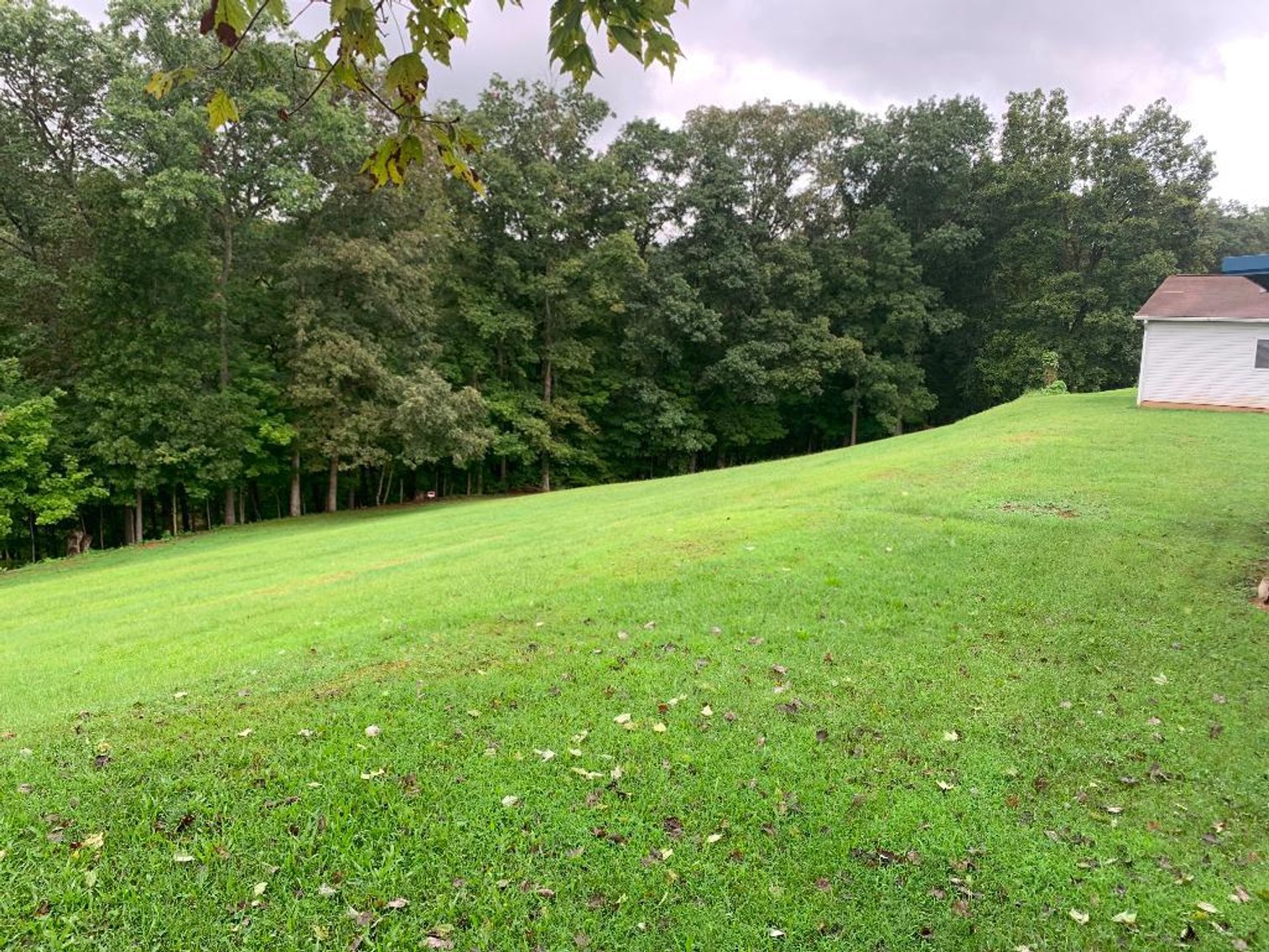 Image for Taylor Real Estate Auction