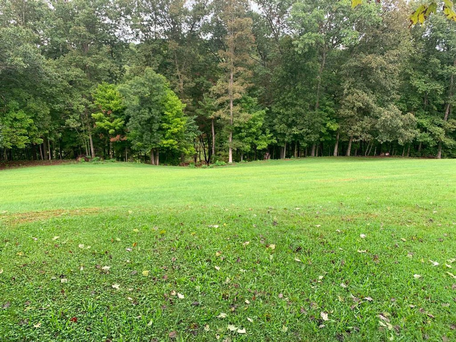 Image for Taylor Real Estate Auction