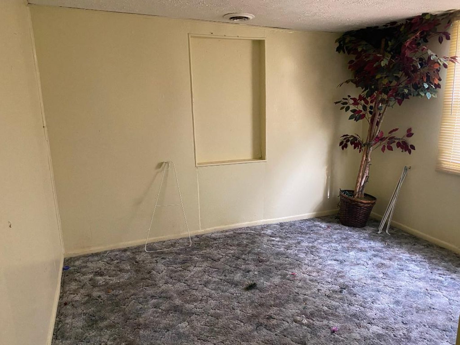 Image for Absolute Real Estate Auction