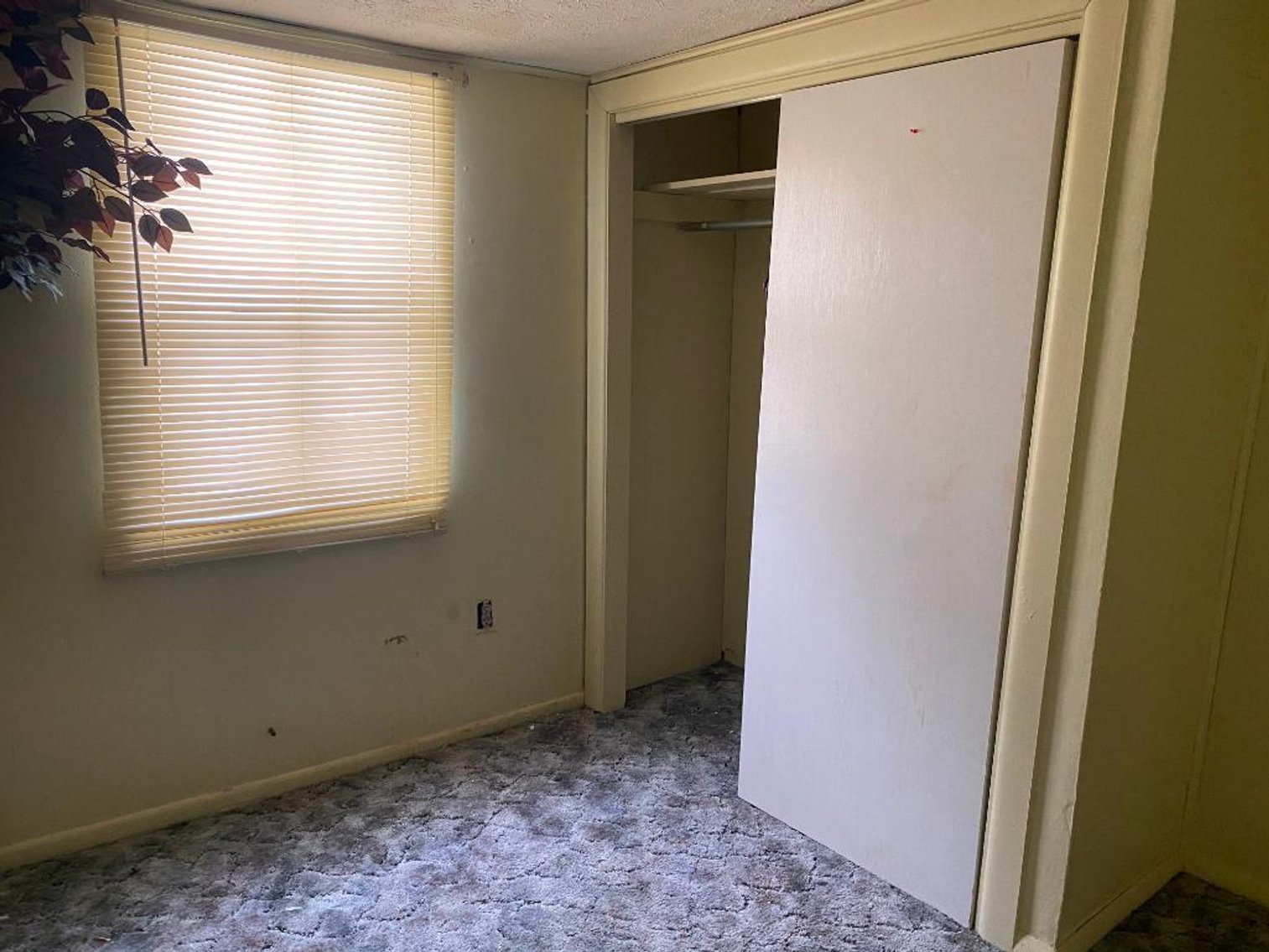 Image for Absolute Real Estate Auction