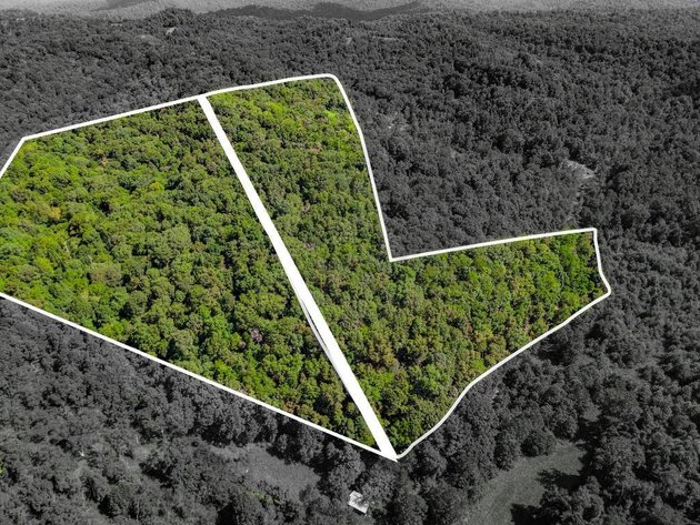 Image for Real Estate Auction Online