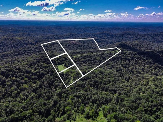 Image for Real Estate Auction Online