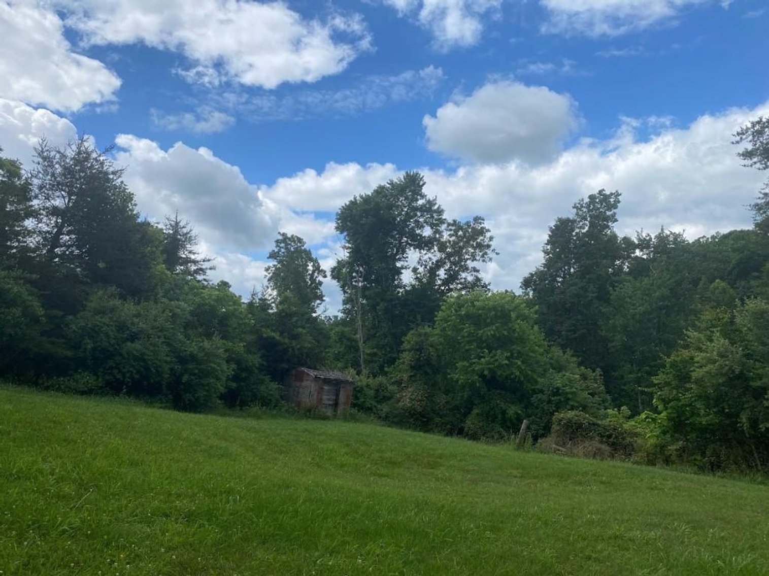 Image for Real Estate Auction ONLINE