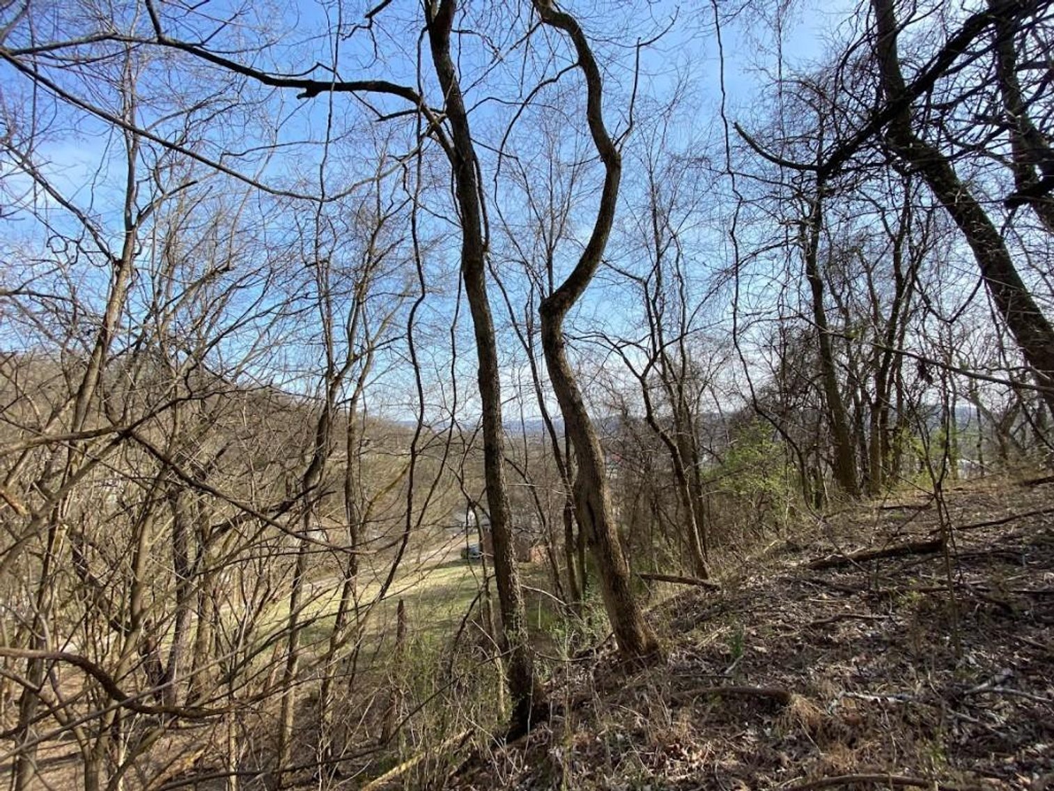 Image for ABSOLUTE ONLINE REAL ESTATE AUCTION