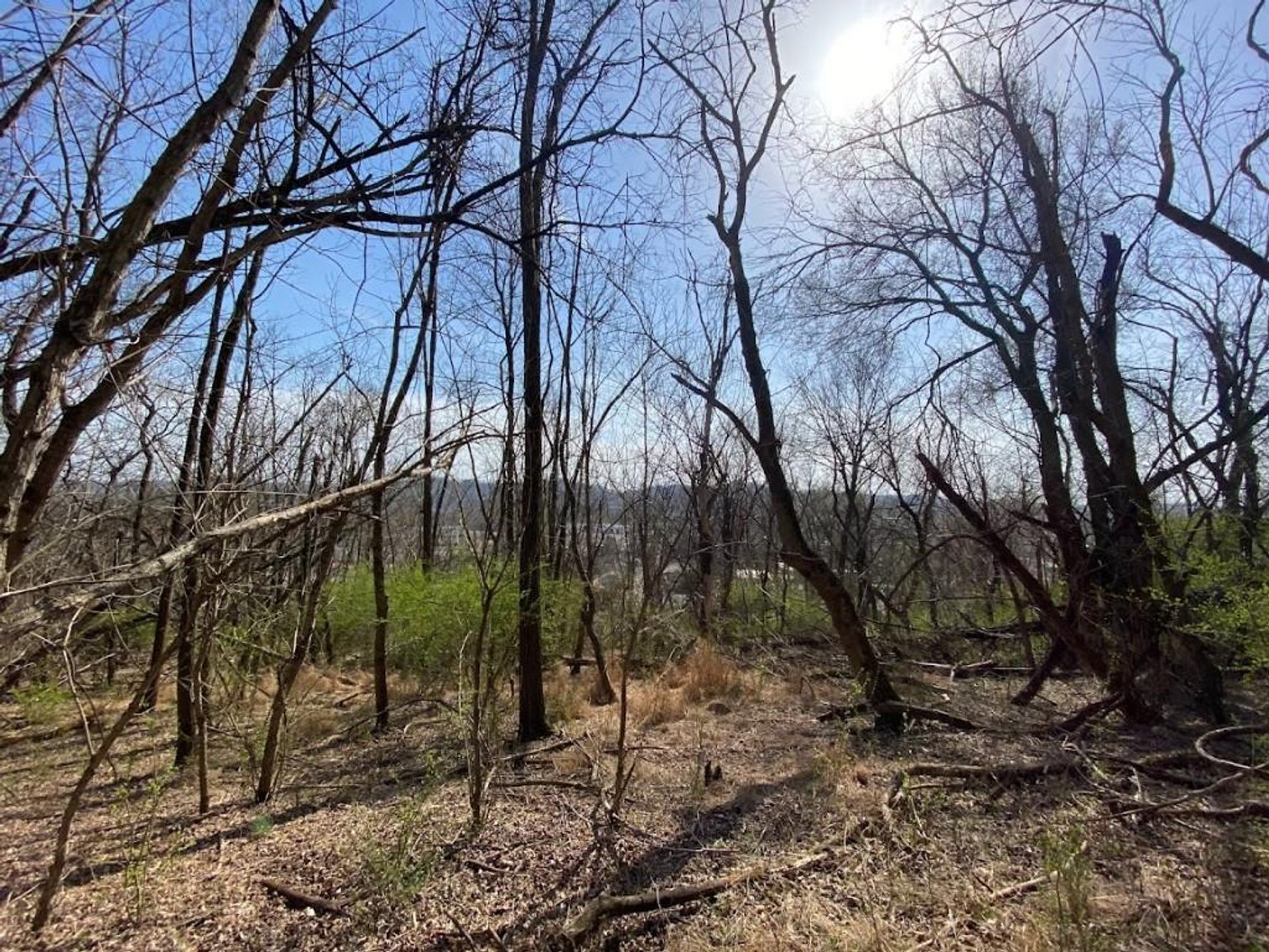 Image for ABSOLUTE ONLINE REAL ESTATE AUCTION