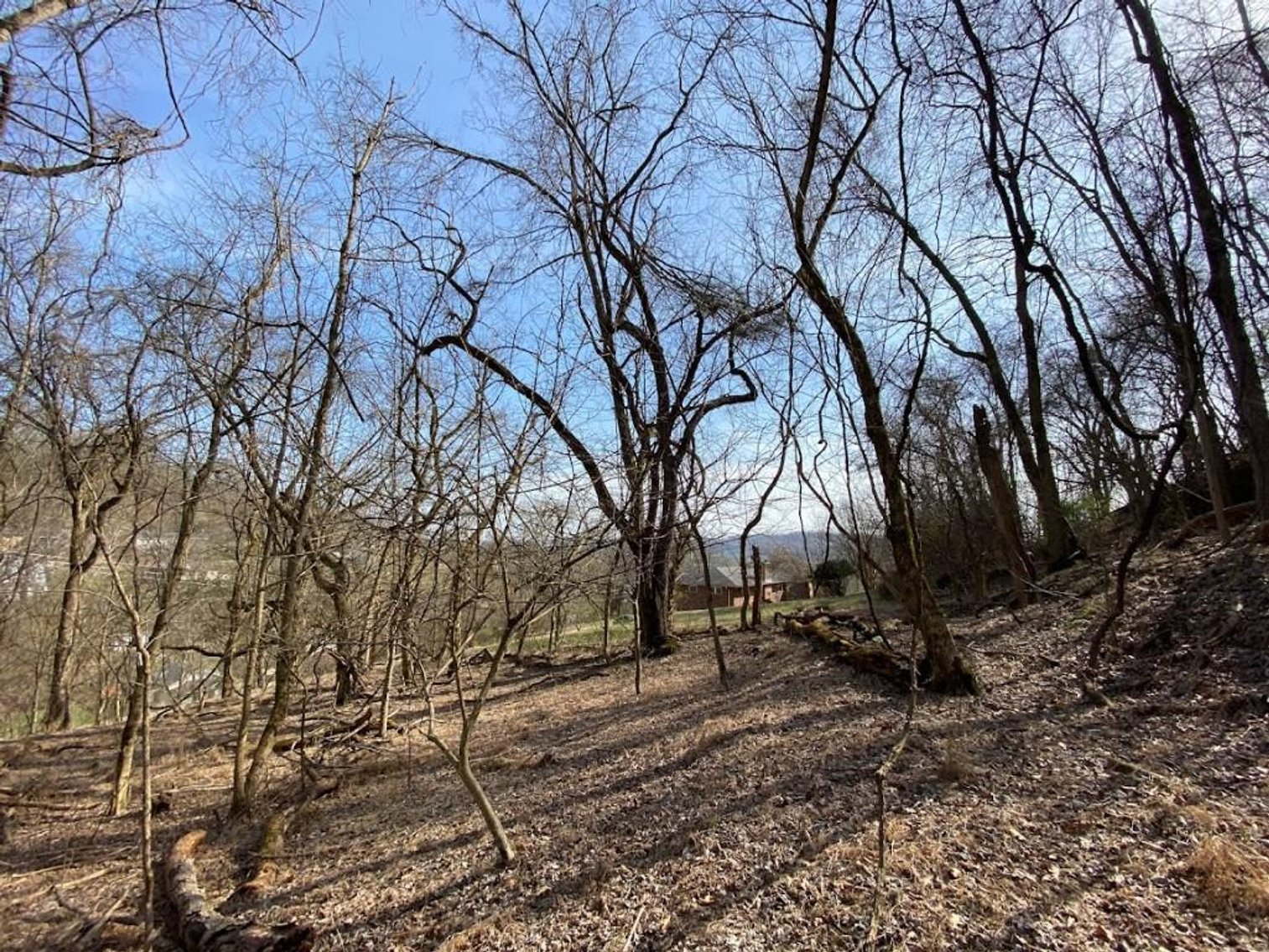 Image for ABSOLUTE ONLINE REAL ESTATE AUCTION