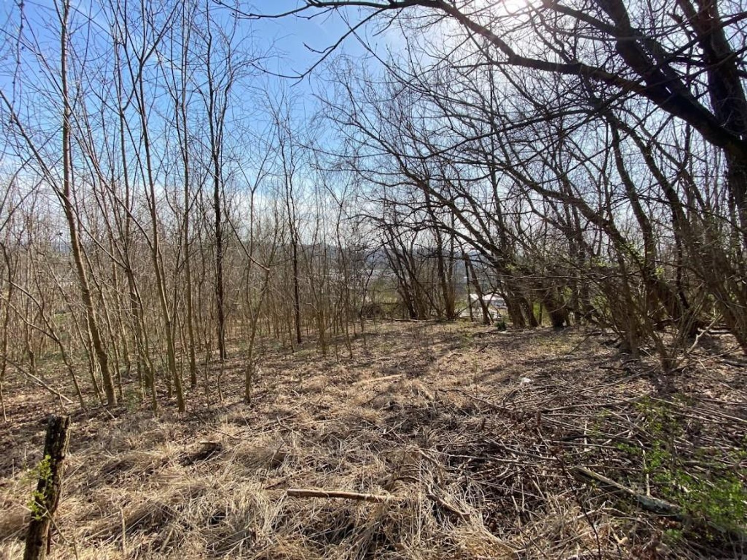 Image for ABSOLUTE ONLINE REAL ESTATE AUCTION