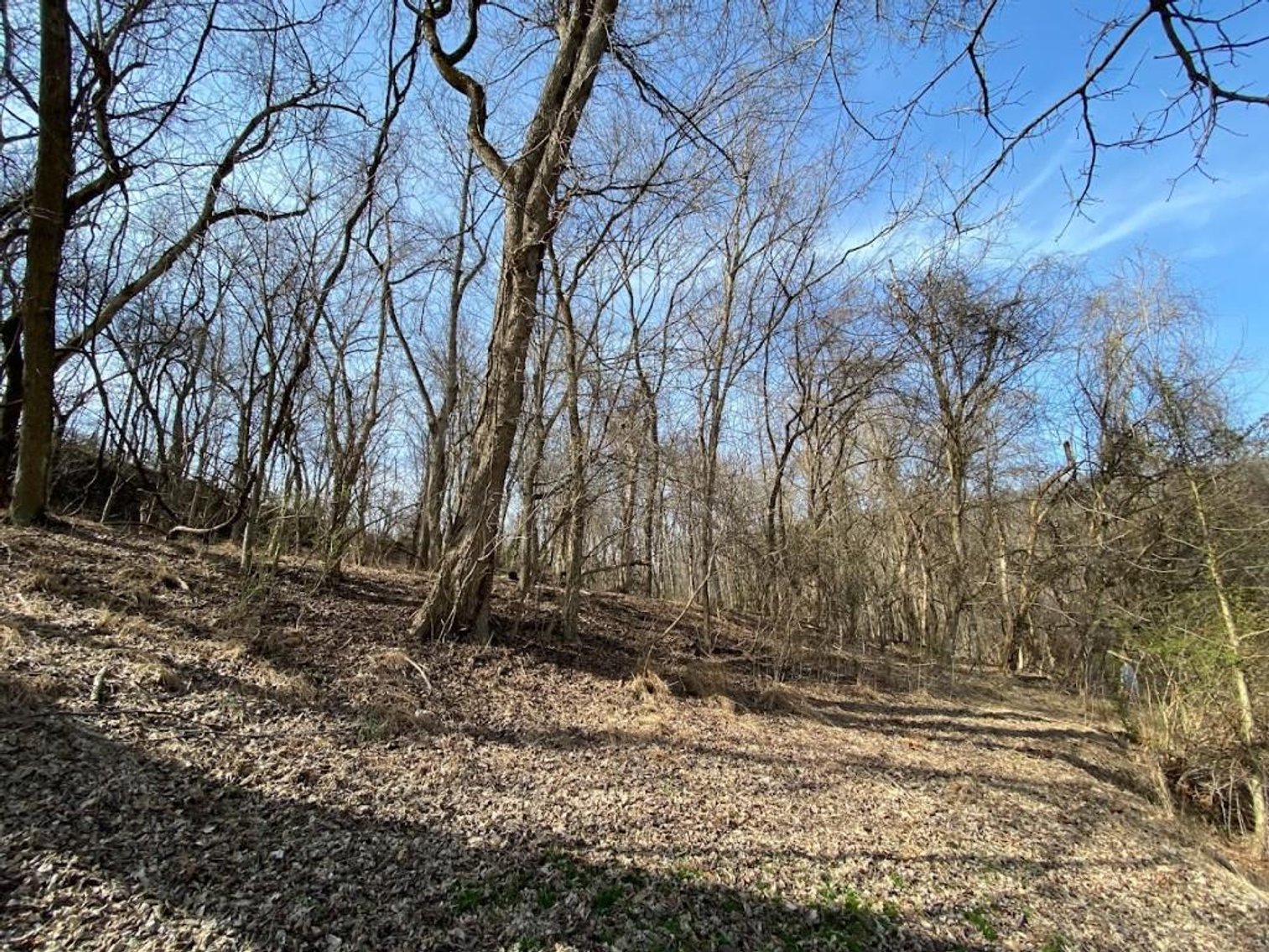 Image for ABSOLUTE ONLINE REAL ESTATE AUCTION